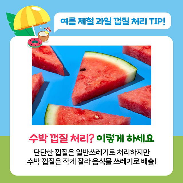 수박 껍질 처리? 송혜교 음식물처리기 에코클린이면 고민 끝! 
